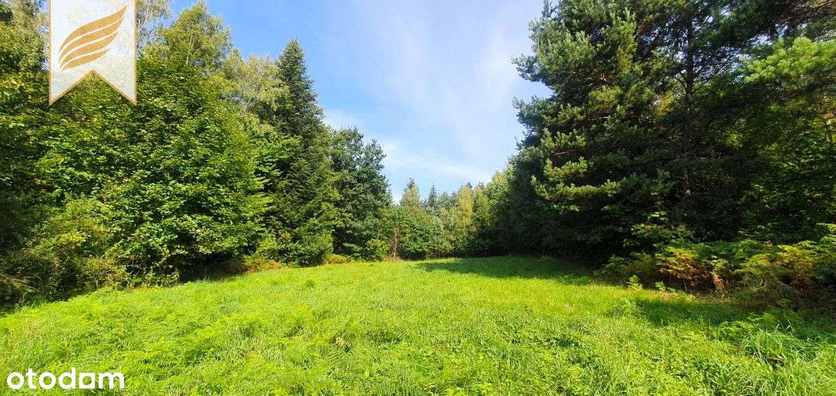 Piękna, widokowa działka w Pcimiu. Dojazd asfaltem - Pełny obrazek: 4/4