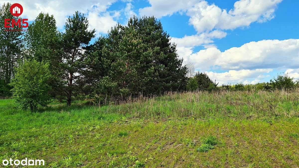 Jurowce, działka rolno-budowlana 5528 m2 - Pełny obrazek: 5/6