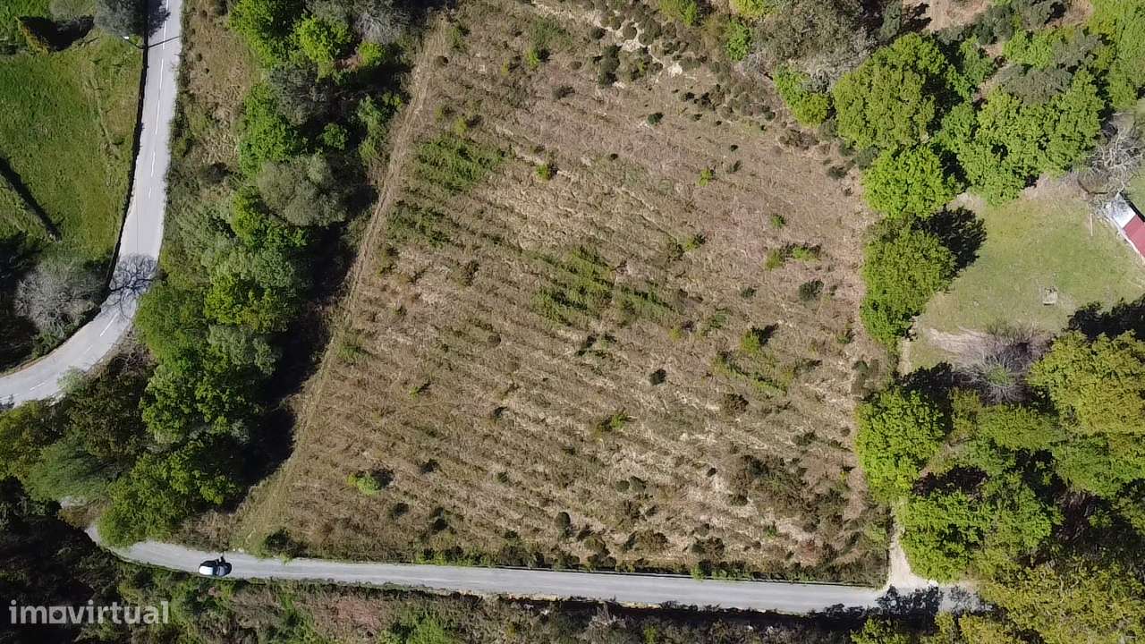 Terreno – Vouzela-12