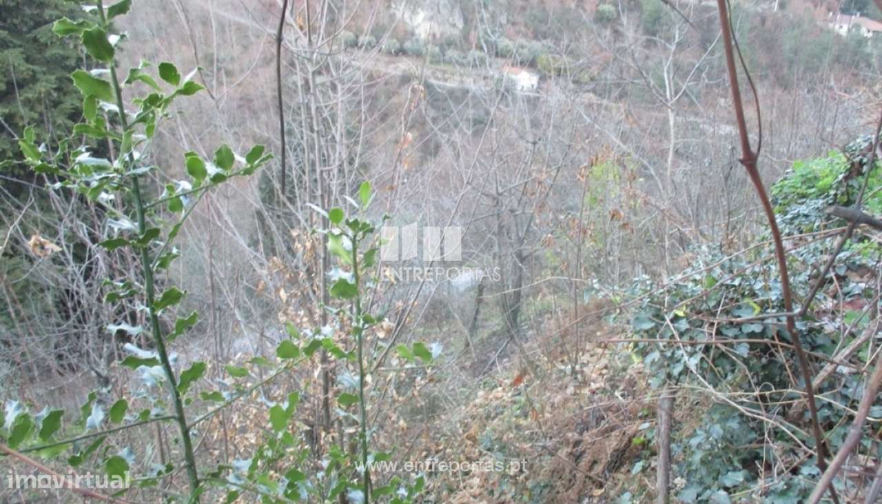 Venda Terreno,Carvalho de Rei, Amarante - Grande imagem: 4/19