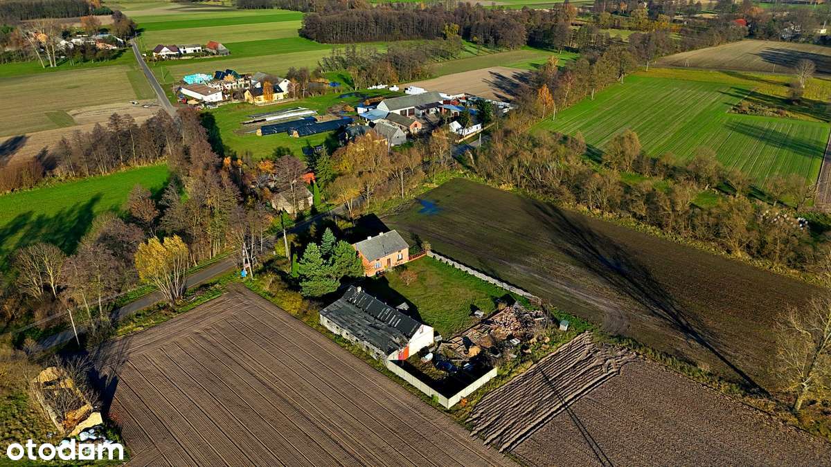 Dom z potencjałem na dużej działce–Nowy Pudłów, blisko Poddębic-1