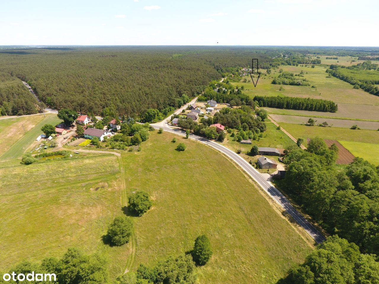 Atrakcyjna działka 3,5 ha w Puszczy Kampinoskiej