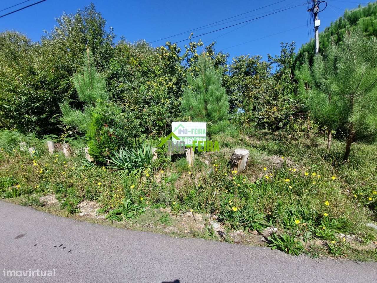 Terreno Rústico 2826m², Santa Maria da Feira - Grande imagem: 3/6