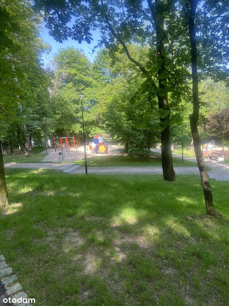 dom w najlepszej lokalizacji, koszutka, park, blisko centrum