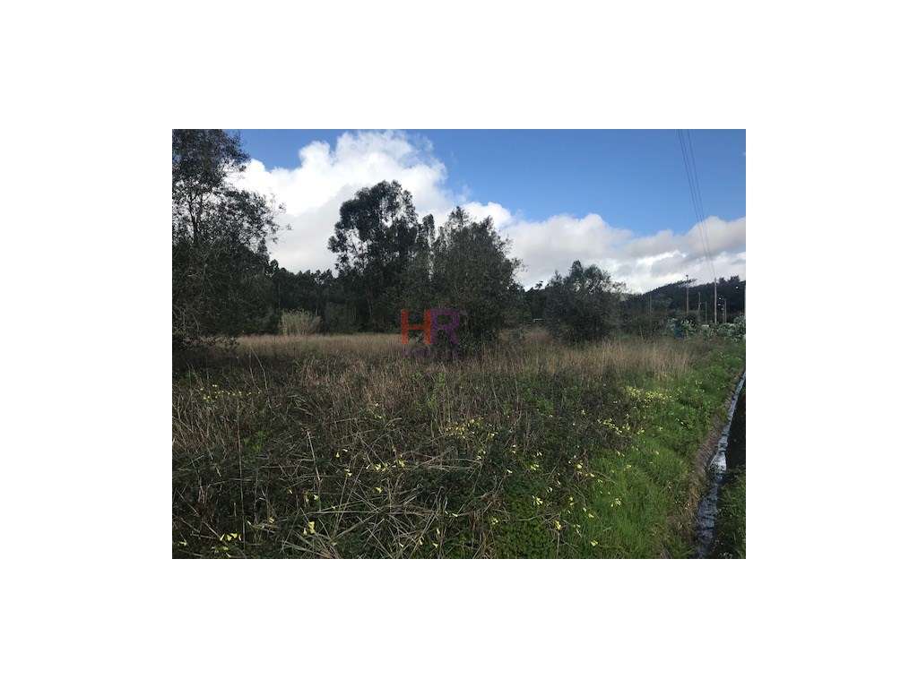 Vende-se Terreno Pampilhosa do Botão - Grande imagem: 2/6