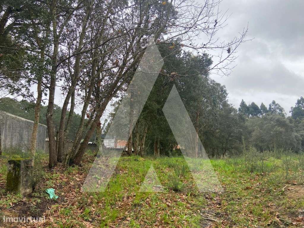 Terreno em Fermentelos - Grande imagem: 5/13