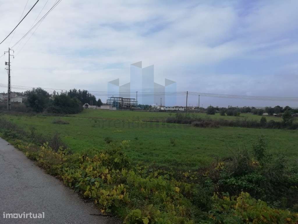 Terreno plano junto a Coimbra - Grande imagem: 4/5