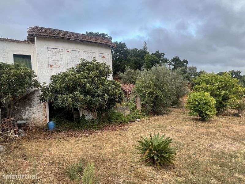 Vendo Terreno Espinheiro - Alcanena 1000m2 - Grande imagem: 2/5