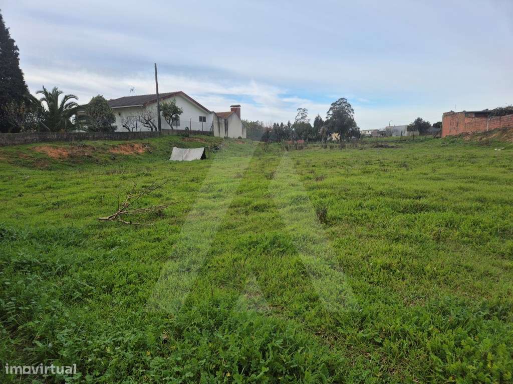 Terreno para construção de moradia em Angeja - Grande imagem: 3/9