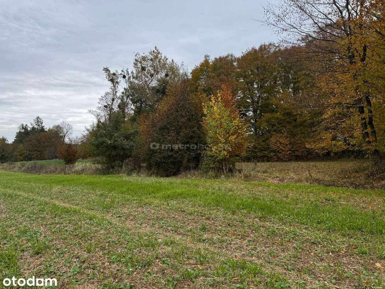 Działka rolna  Rozdoły k. Sitna. - Pełny obrazek: 4/8