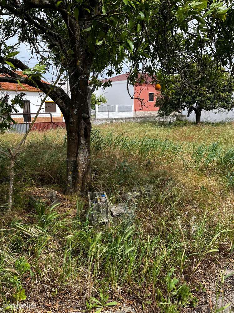 Lote Urbano 698 m2  - Almeirim - Fazendas de Almeirim-4