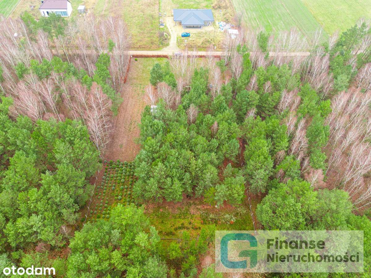 Działka Budowlana 3900 m² | Jeruzal - Pełny obrazek: 4/9