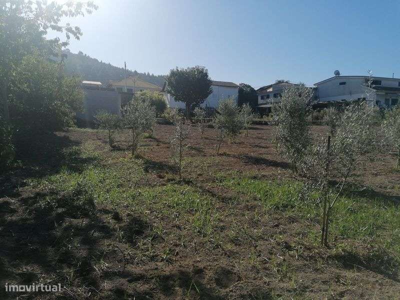 Terreno com fantástica paisagem - Grande imagem: 4/5