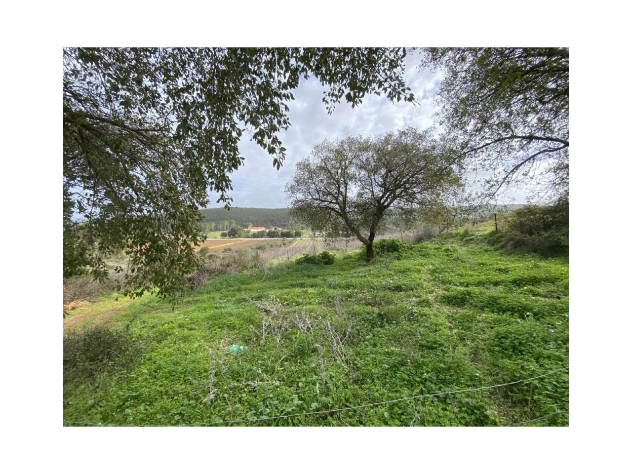 Terreno Rústico com Armazém - Grande imagem: 4/16