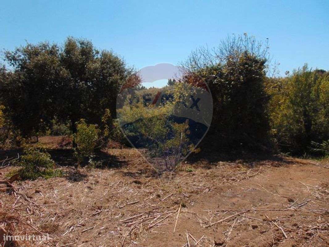 Terreno  para venda - Grande imagem: 3/7