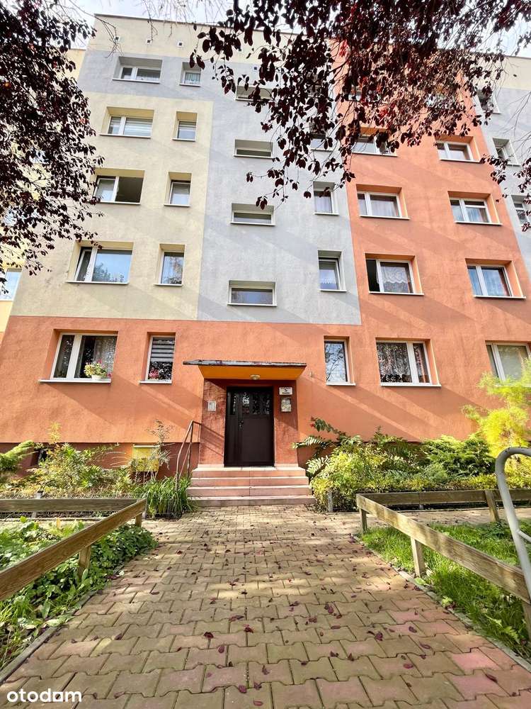 3 pokoje w świetnej lokalizacji, Katowice-Bogucice-11