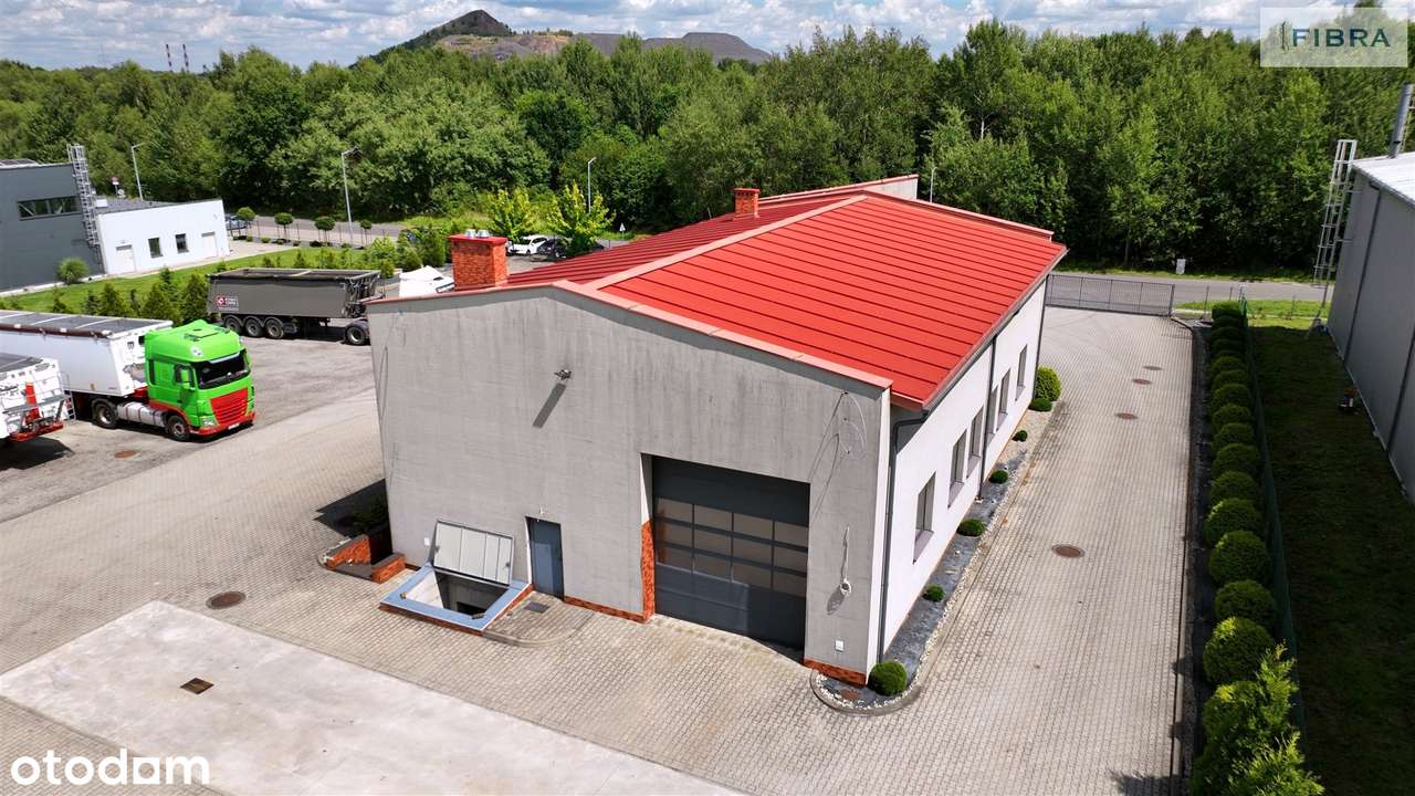 ​​​Spełnij swoje marzenia! To właśnie tego szukas - Pełny obrazek: 3/20