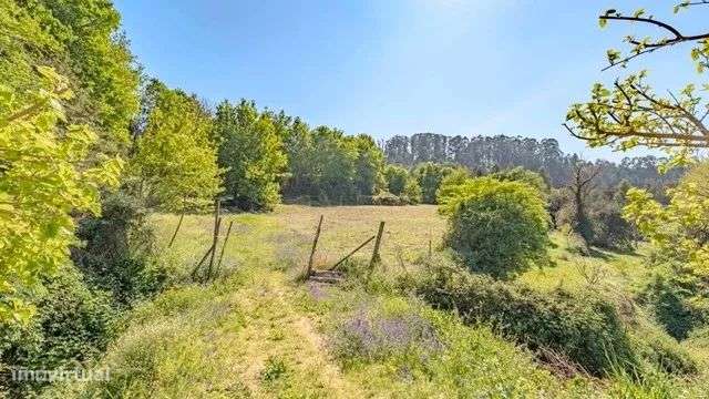 Quinta Exclusiva em Abação – Refúgio com 14.000 m²-17