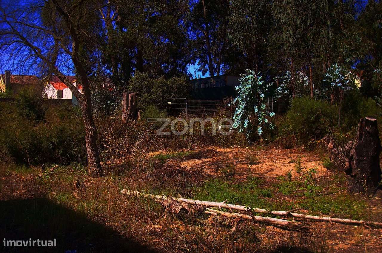 Terreno Rústico - Grande imagem: 2/10