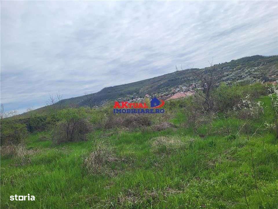 Vanzare teren 35.000mp Stefanesti -Arges-Comision 0%-0