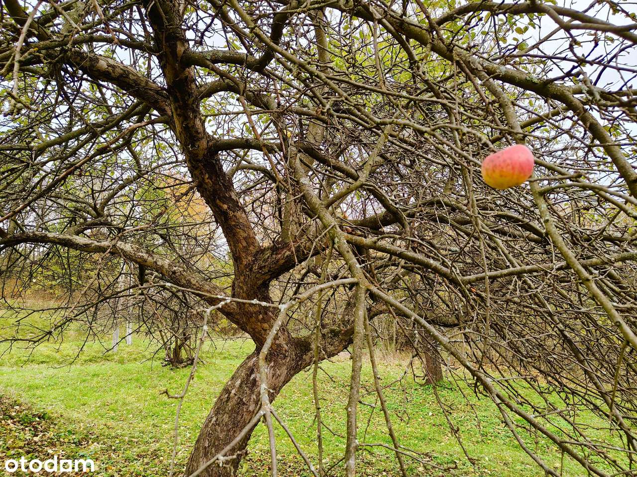 Enklawa spokoju | powiat Rzeszowski-4
