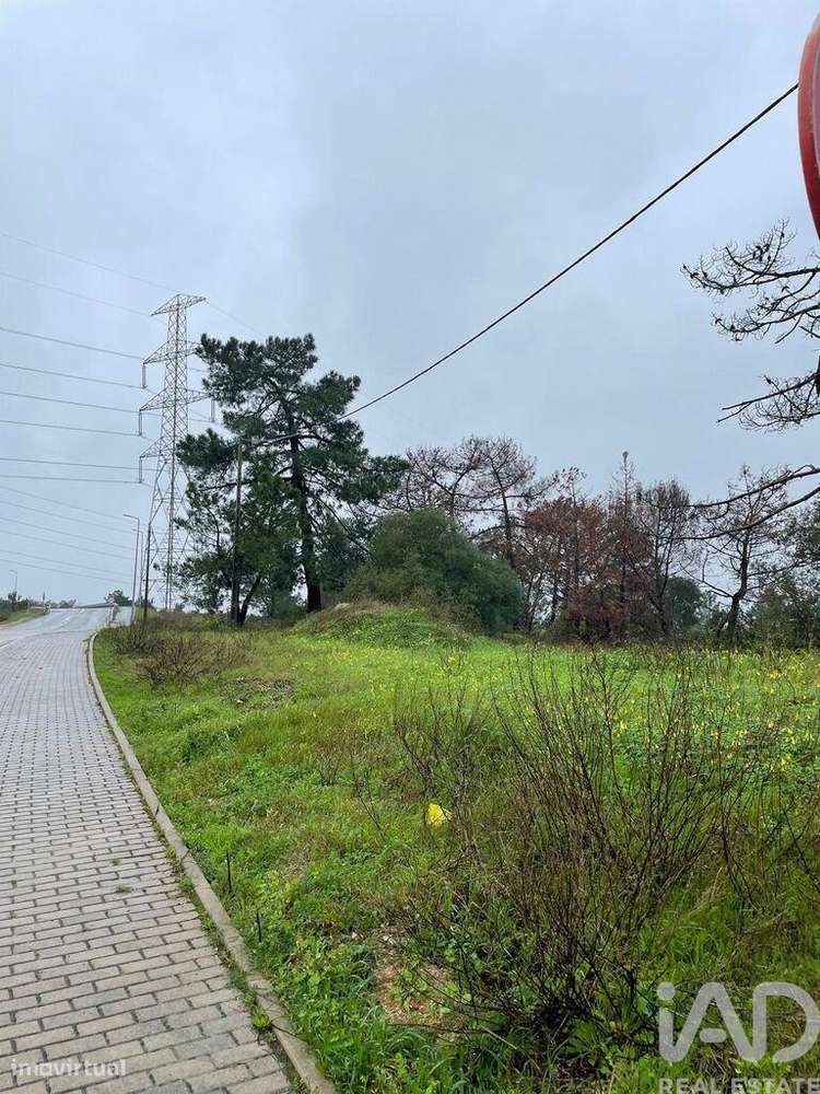 Terreno Agrícola em Gâmbia-Pontes-Alto da Guerra - Grande imagem: 3/13