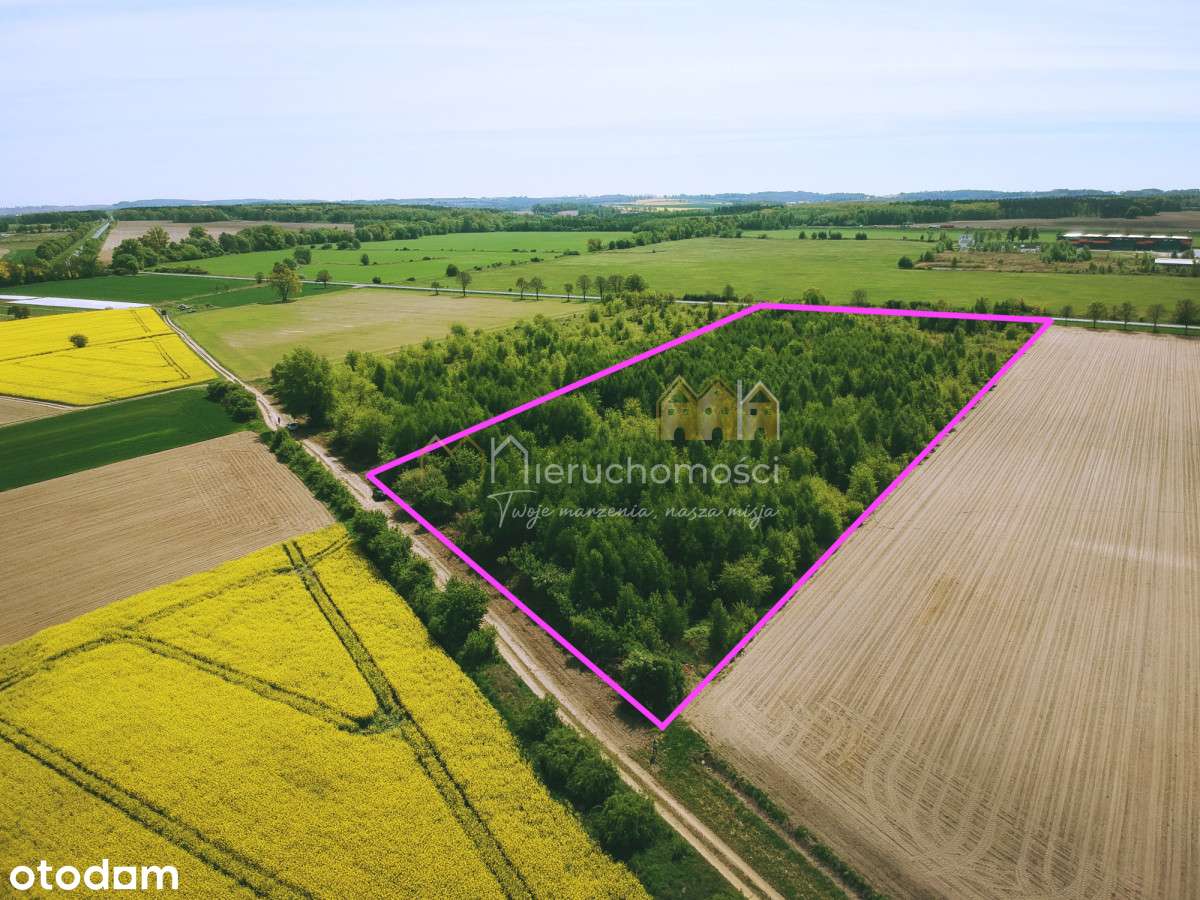 Na sprzedaż działka 2,55 ha z Mpzp 4U i 4mn,u - Pełny obrazek: 2/3