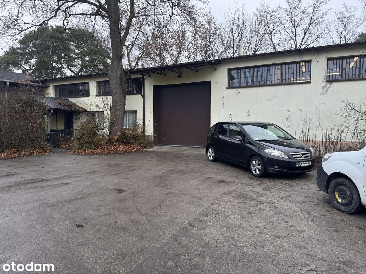 Magazyn 441 m2 od stycznia - Pełny obrazek: 1/2