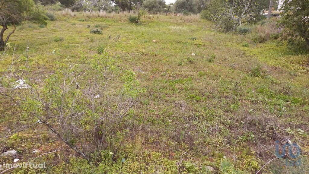 Terreno Agrícola em Faro de 3500,00 m2