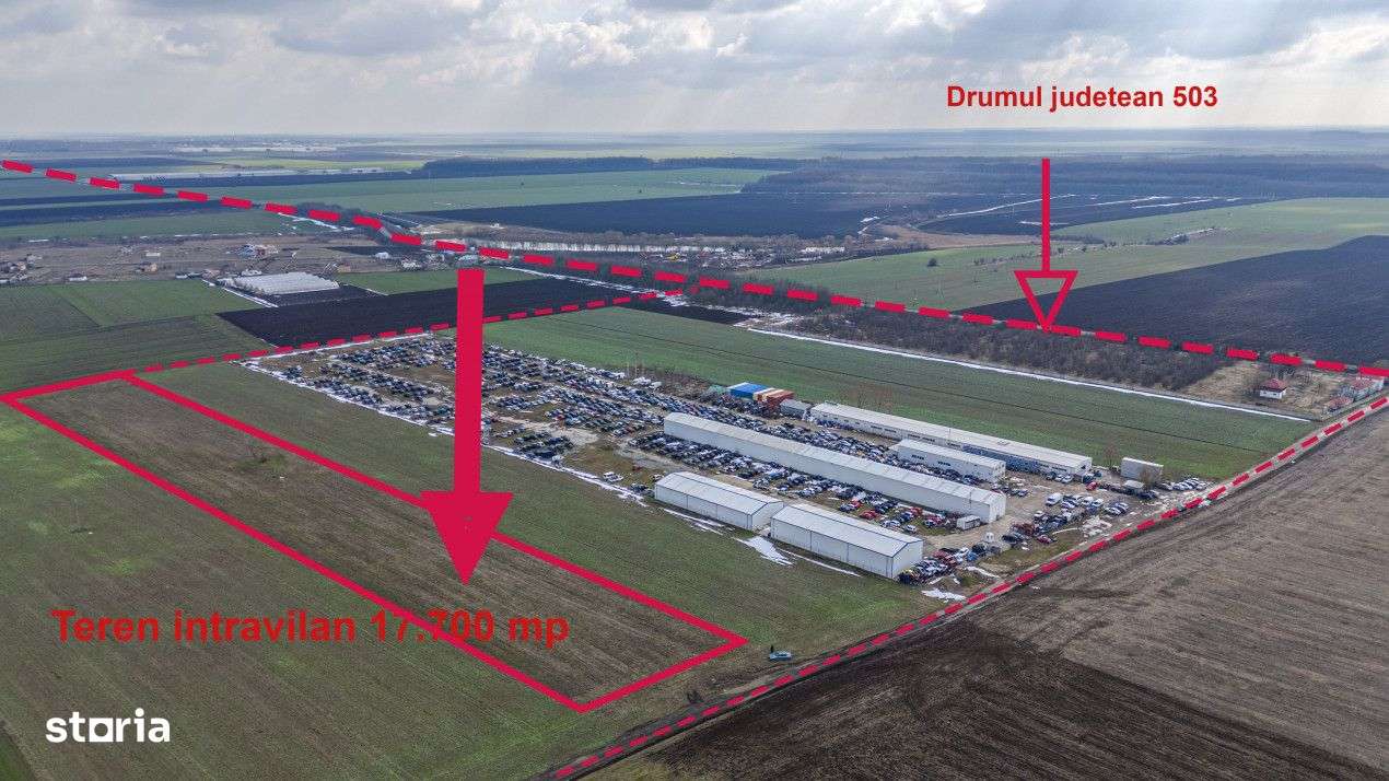 Teren intravilan Belciugatele*300 m de DJ503*Linie de tensiune medie* - Imagine principală: 2/8