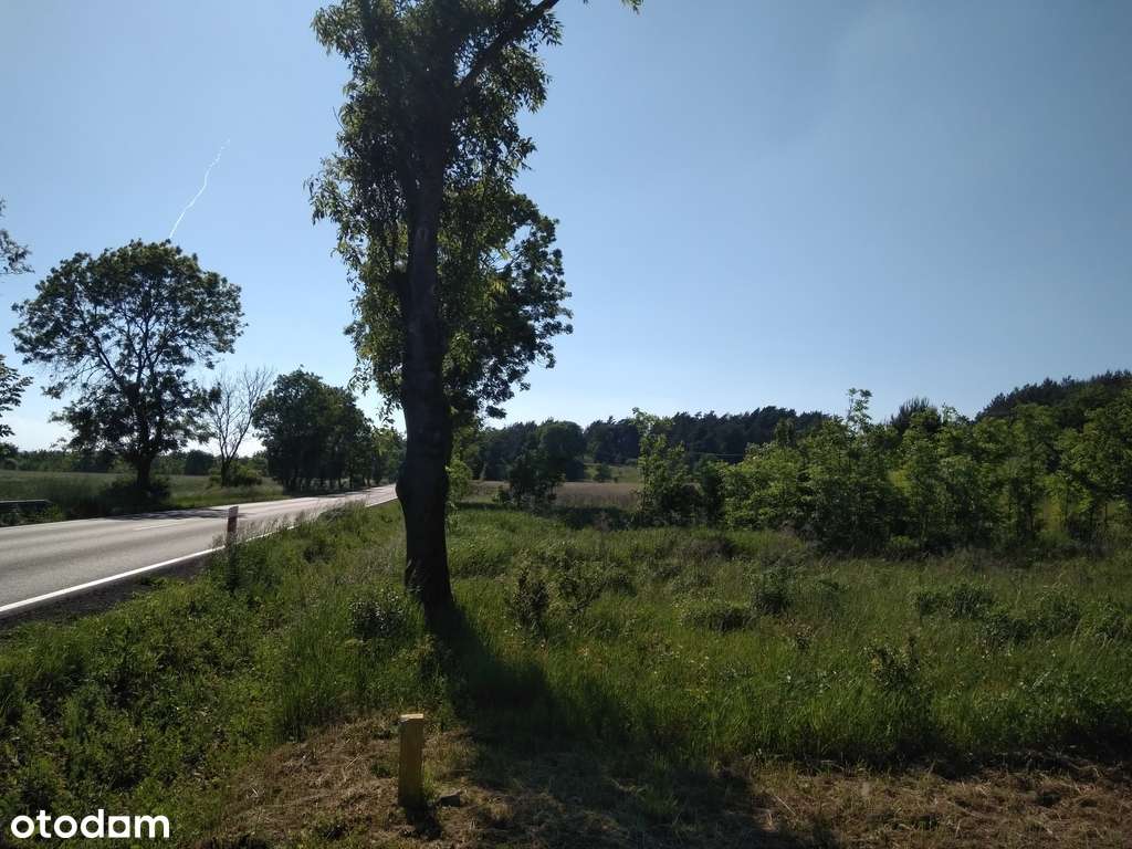 TANIA Dz. bud., Łęgowo, woj. Lubuskie, 36972zł-5