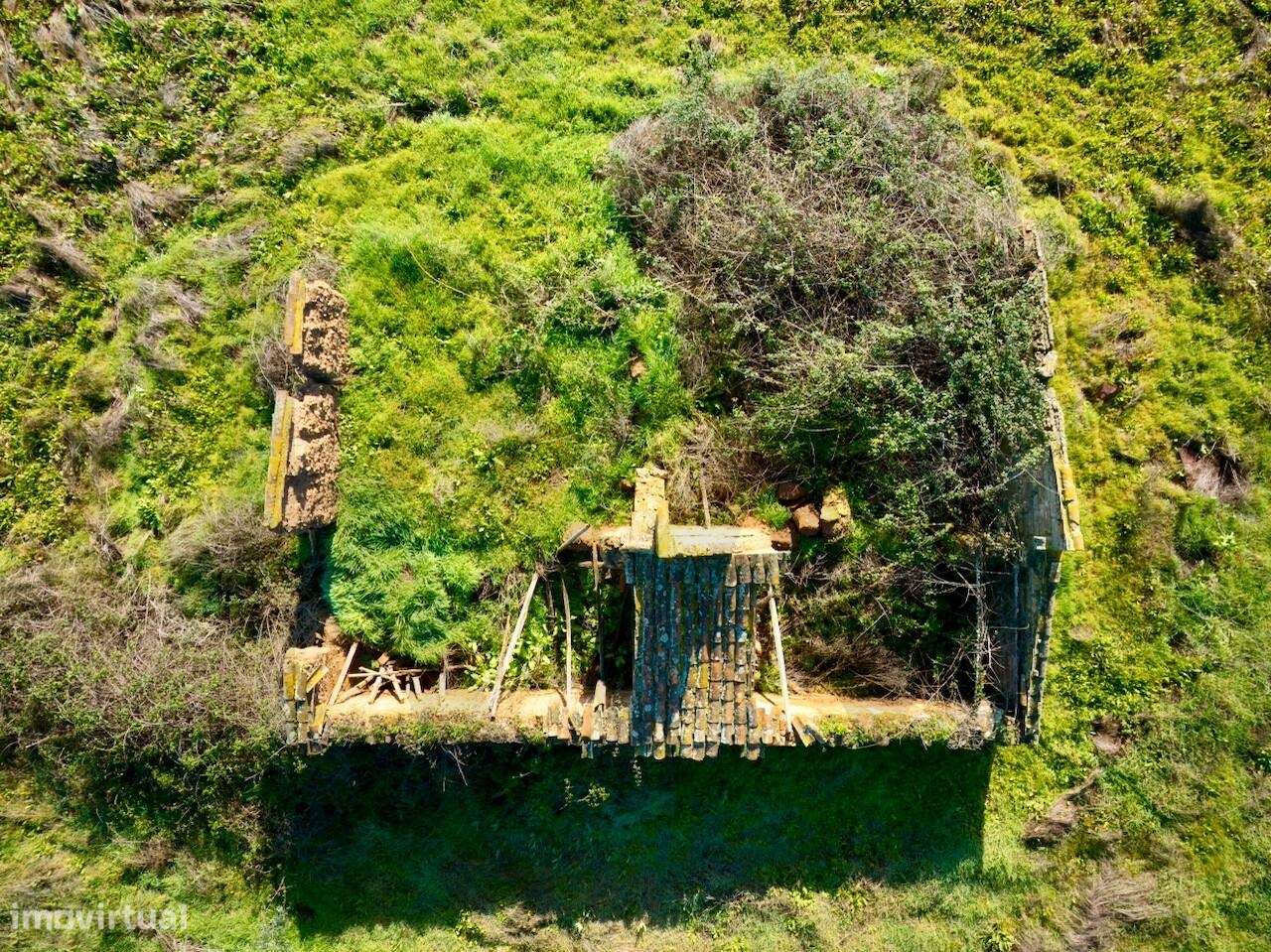 Propriedade Rural em São Domingos - Santiago do Cacém  São Domingos co - Grande imagem: 3/21