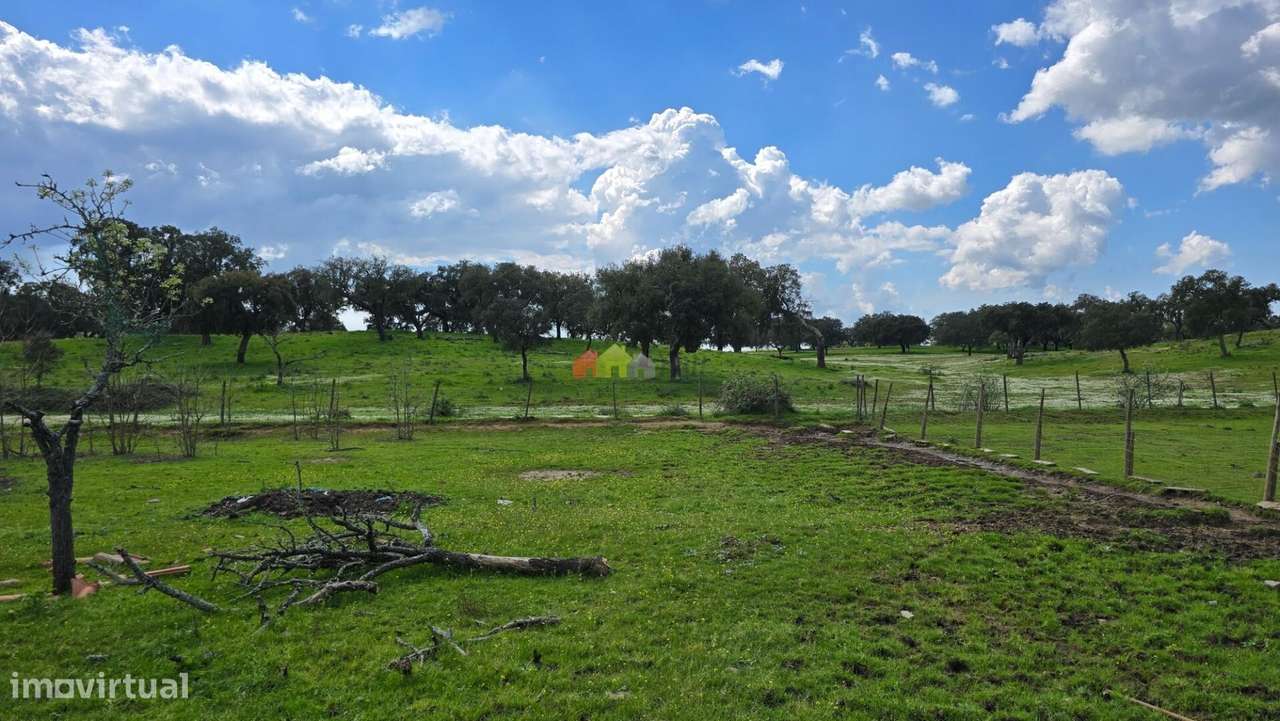 Quinta T2 em Fazendas do Cortiço-53