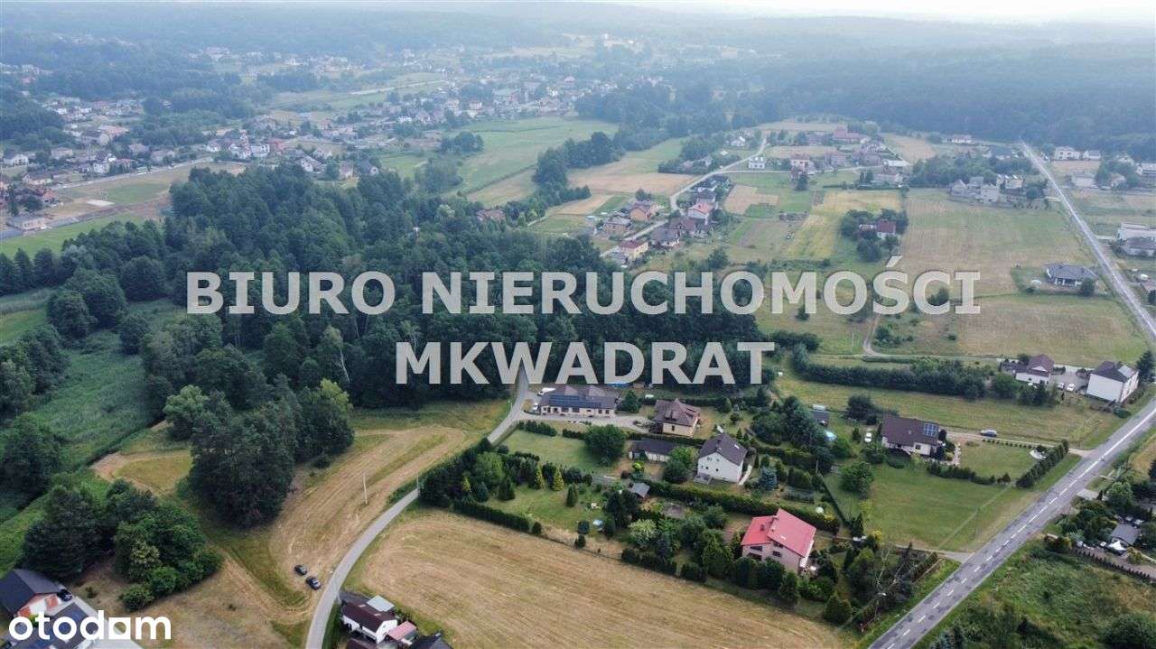 Malownicza działka z rzeką i jeziorem, 6,6701ha - Pełny obrazek: 5/10