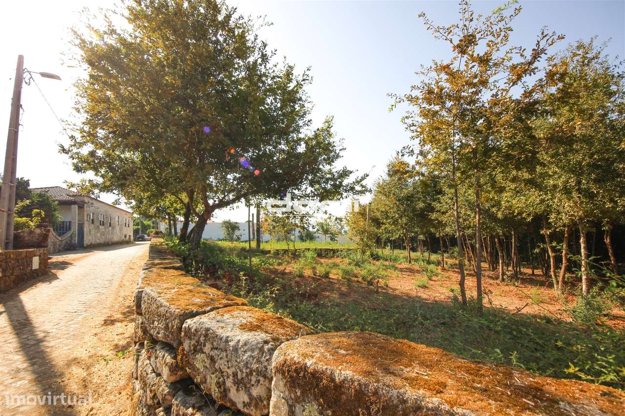 Terreno com Viabilidade de Construção em São Miguel do Mato, Vouzela - Grande imagem: 4/11