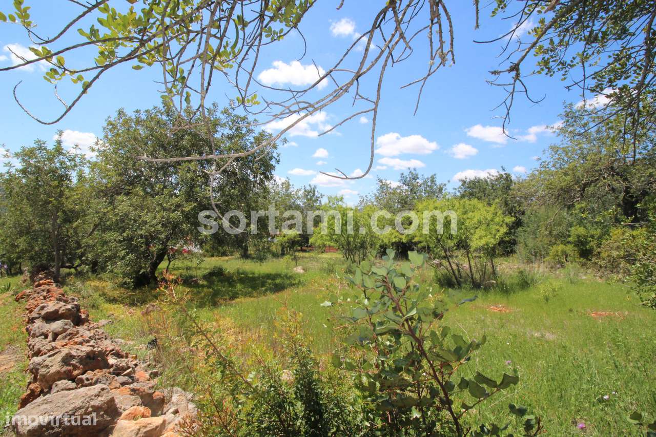 Terreno Para Construção  Venda em Querença, Tôr e Benafim,Loulé - Grande imagem: 4/7