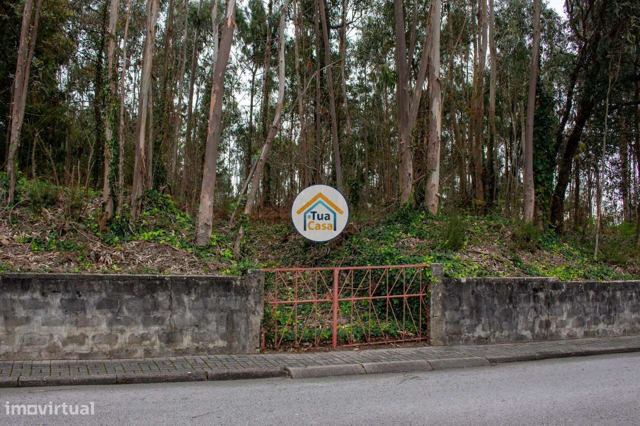 Terreno para Construção – 4000m2 em Lourosa - Grande imagem: 1/15