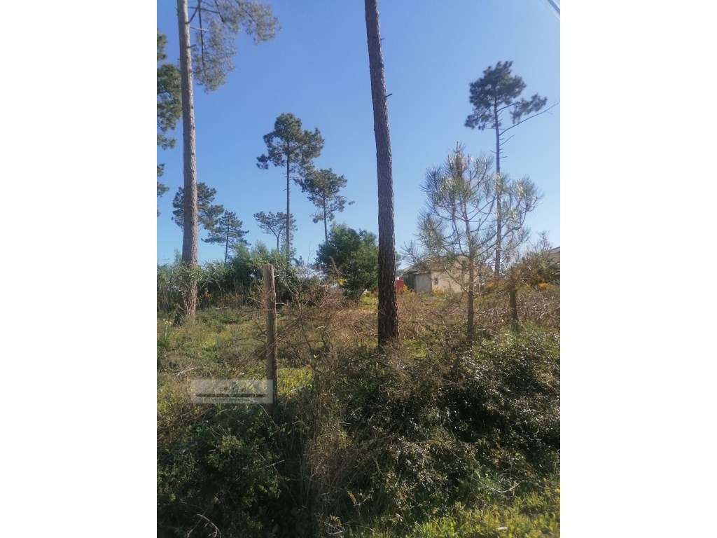 Terreno urbano com 3977 m2 na Aroeira, Charneca de Caparica.-11