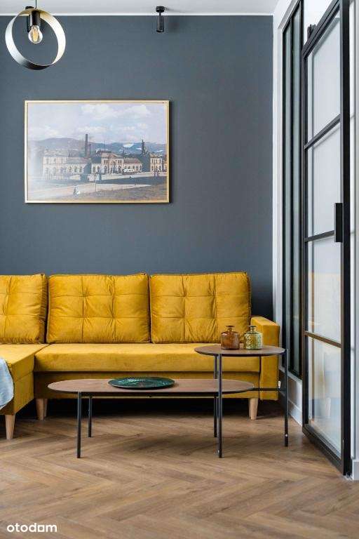 Apartament w ścisłym centrum , Gotowy do wprowadzenia , Top Standard-6