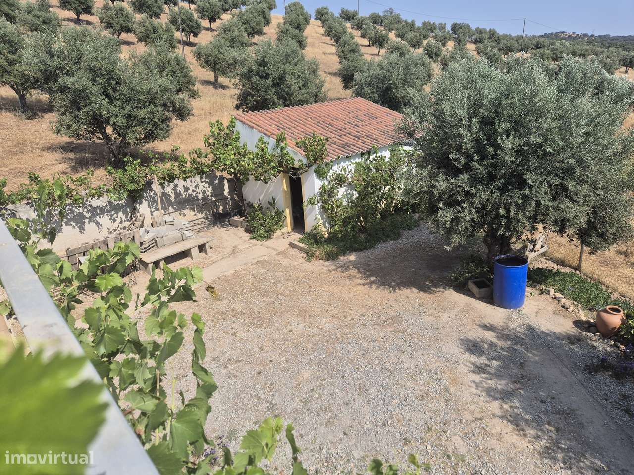 Quinta V5 com 15.000 m2 em Ourique-33