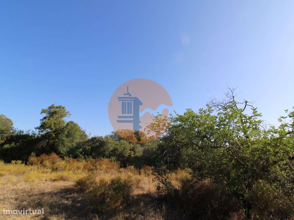 Terreno Rústico com 6840 m2 - Grande imagem: 4/21