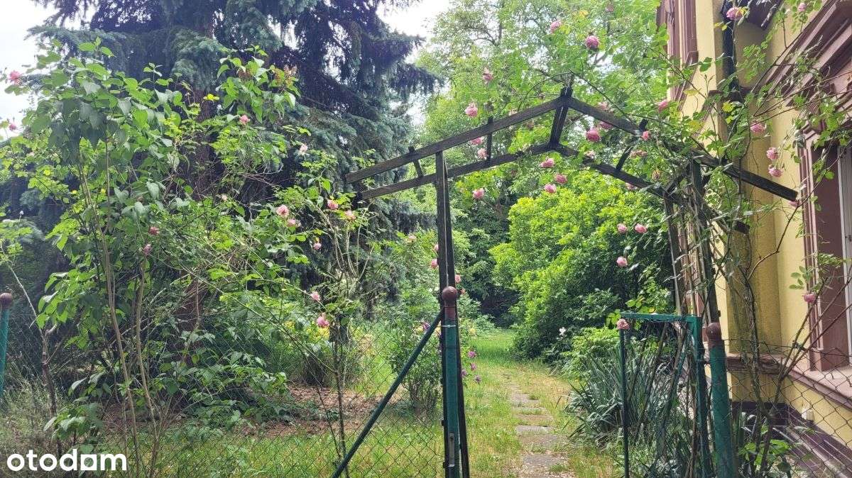 Mieszkanie, 97 m2, parter w budynku dwu lokalowym-16