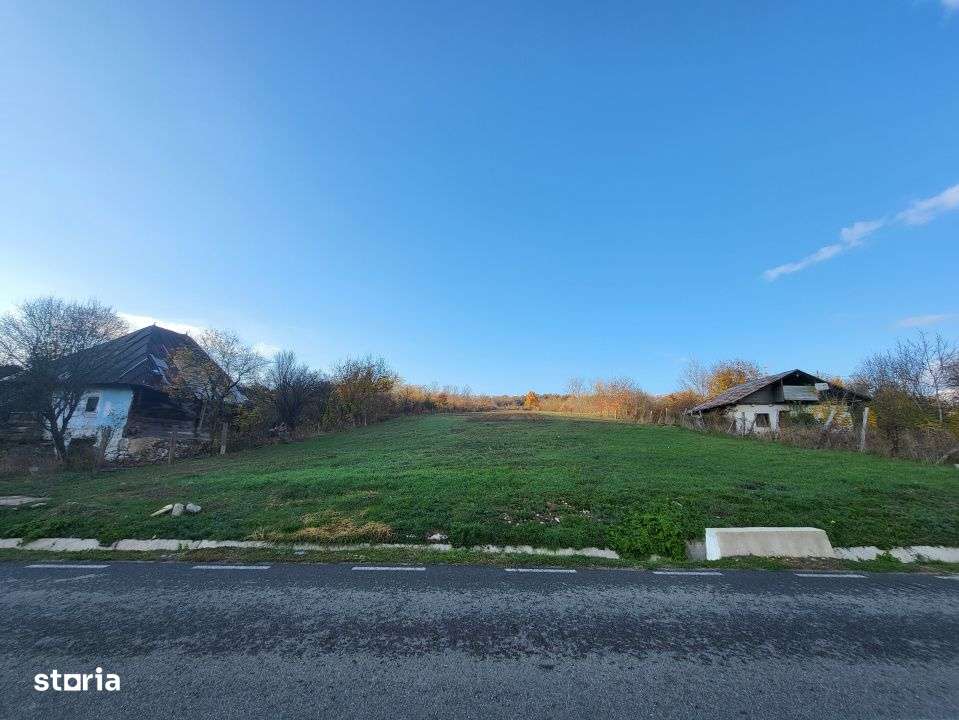 Teren 11.939 mp Balanesti – ideal rezidential/comercial-6