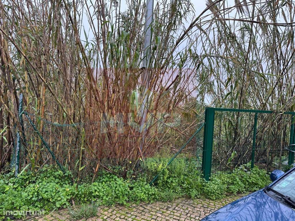 Terreno localizado em espaço urbanizável, Quelfes-1