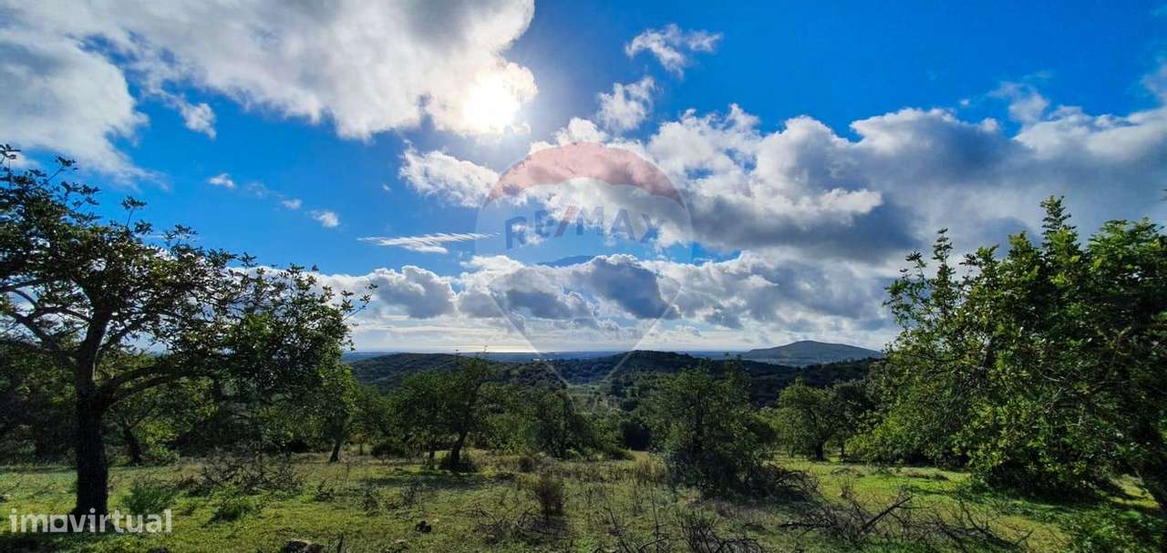 Quinta T2 para venda - Grande imagem: 4/19