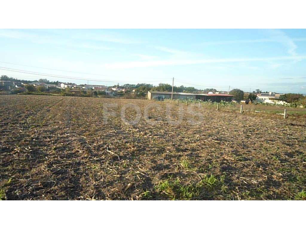Terreno para construção - Cacia - Grande imagem: 3/3