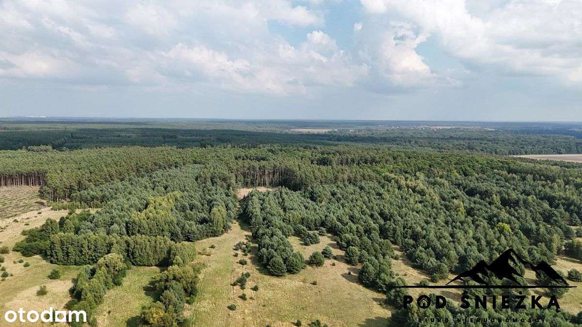 Dom z zabudowaniami- grunty 7300m2- inwestycyjne!-14