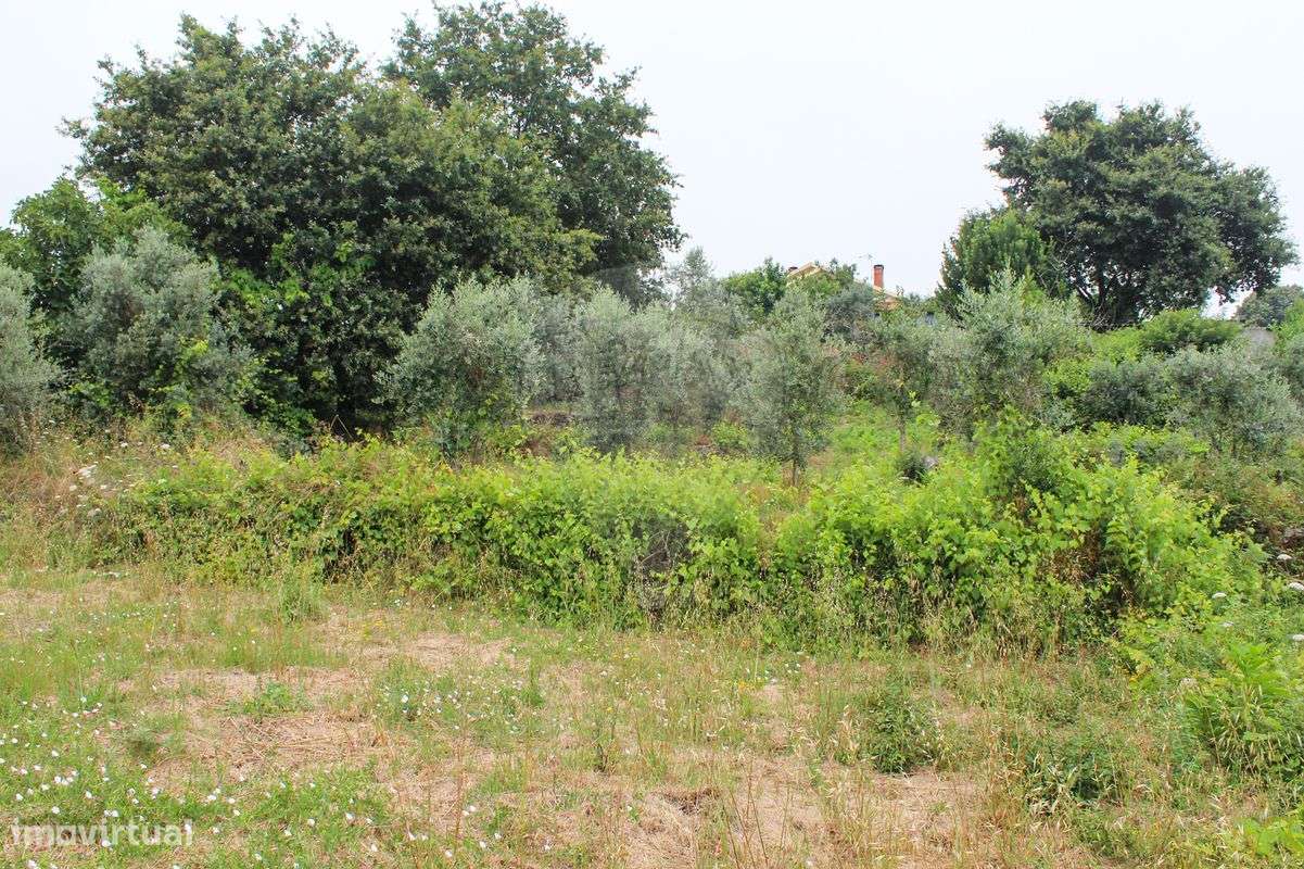 Terreno  para venda - Grande imagem: 4/9