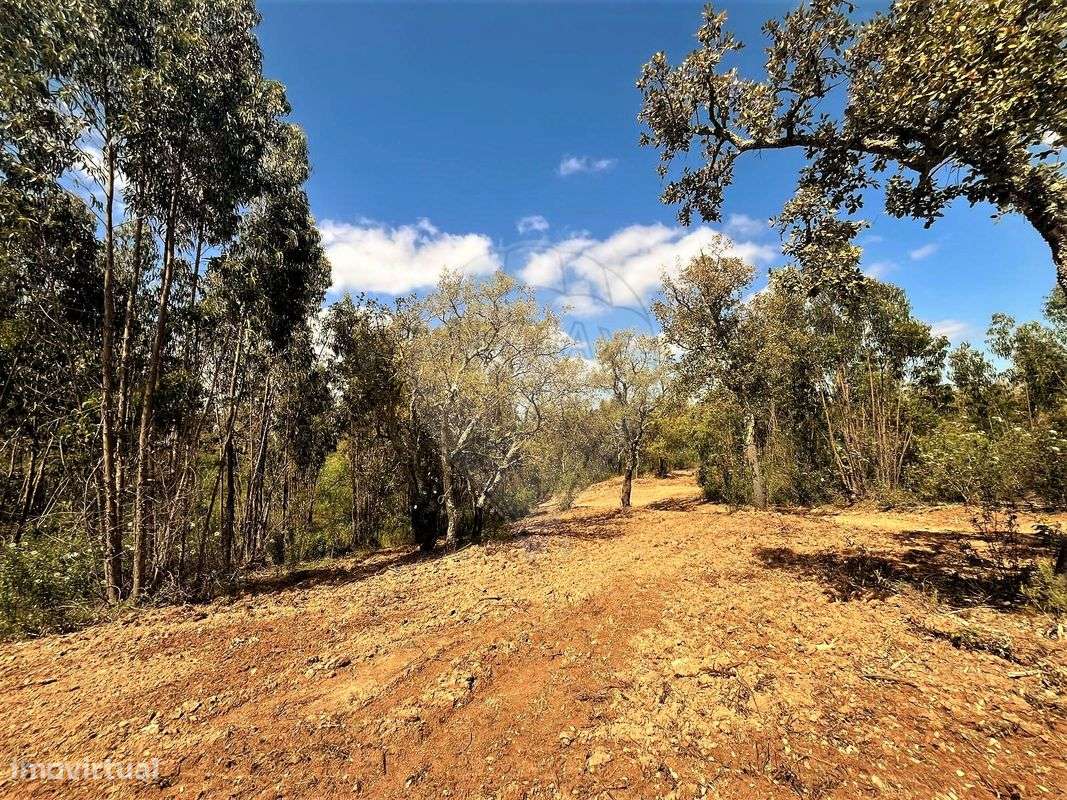 Terreno  para venda - Grande imagem: 2/5