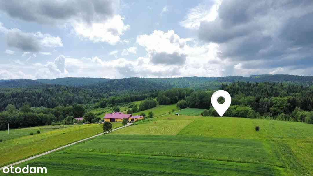 Widokowa działka na Pogórzu Dynowskim-1